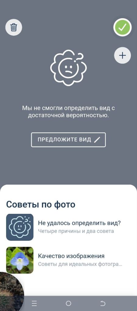 Скриншот приложения для распознавания растений
