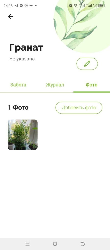 Скриншот приложения для ухода за растениями
