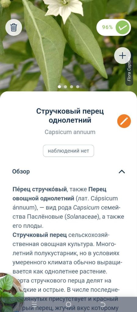 Скриншот приложения для распознавания растений