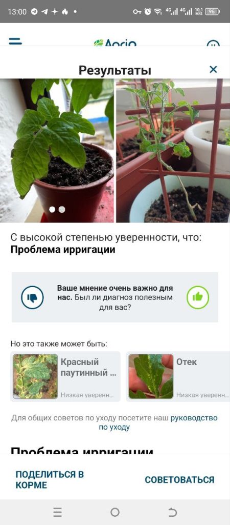 Скриншот приложения для распознавания растений