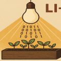 Li-Fi-лампы в растениеводстве