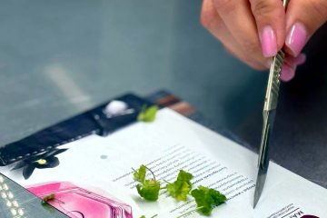 Девушка подносит скальпель к листьям малины, лежащим на цветных буклетах