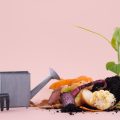 Лейка, грабли, лопата, пищевые отходы, грунт, росток