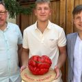 Трое мужчин стоят у деревянного забора. Один из них держит круглую деревянную доску с надписью "Помидор-чемпион", на которой лежит гигантский помидор