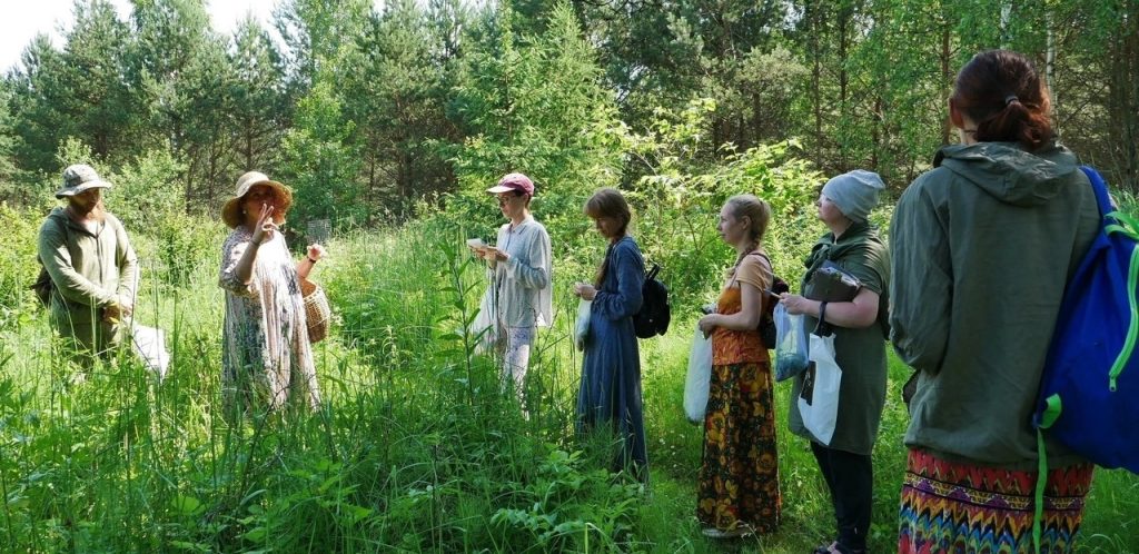 Группа людей на лесной прогулке