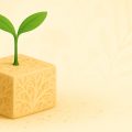 Из субстрата, спрессованного в виде кубика растёт небольшое растение