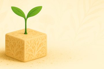 Из субстрата, спрессованного в виде кубика растёт небольшое растение