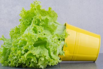 Небольшое жёлтое металлическое ведёрко лежит на боку. Из него торчат сочные листья салата