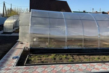 Теплица на дачном участке