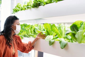 Женщина в медицинской маске рассматривает и трогает салат, растущий в гидропонной установке