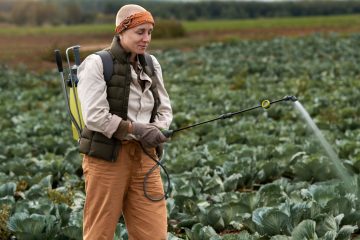 Женщина обрабатывает поле с капустой средствами защиты растений