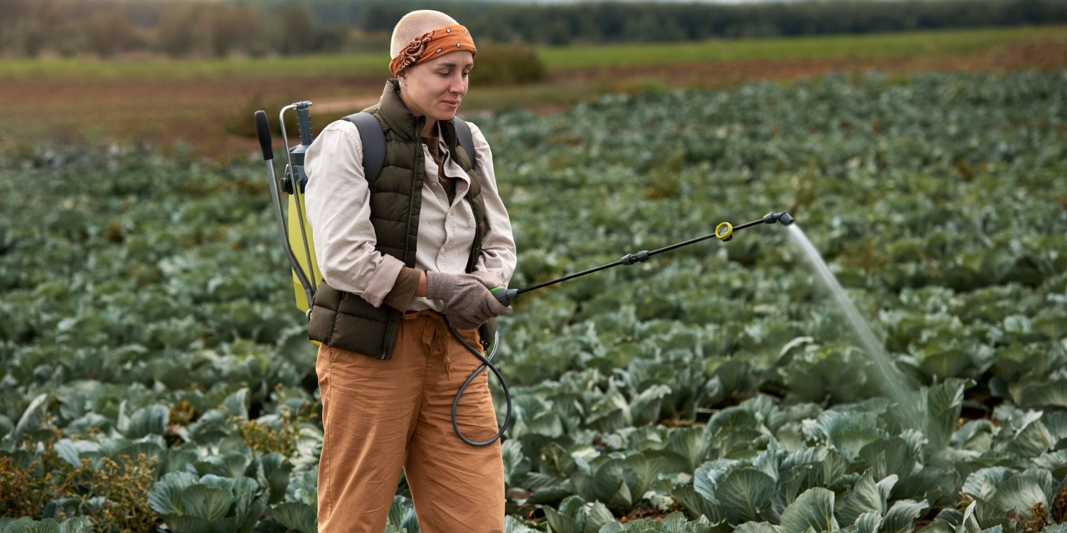 Женщина обрабатывает поле с капустой средствами защиты растений