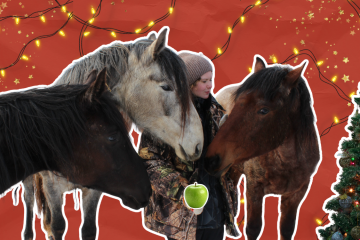 Три лошади смотрят на зелёное яблоко в руках девушки. Рядом стоит новогодняя ёлка