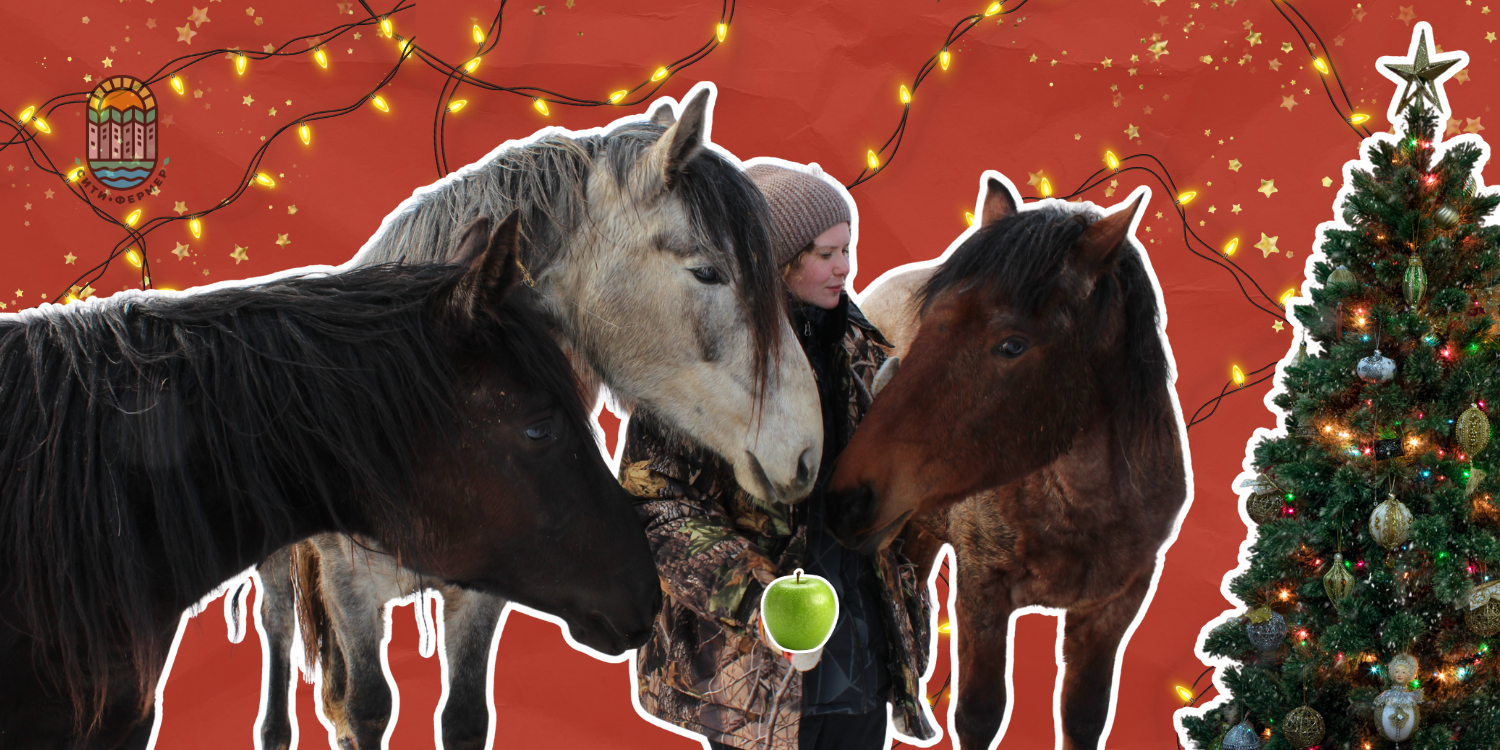 Три лошади смотрят на зелёное яблоко в руках девушки. Рядом стоит новогодняя ёлка