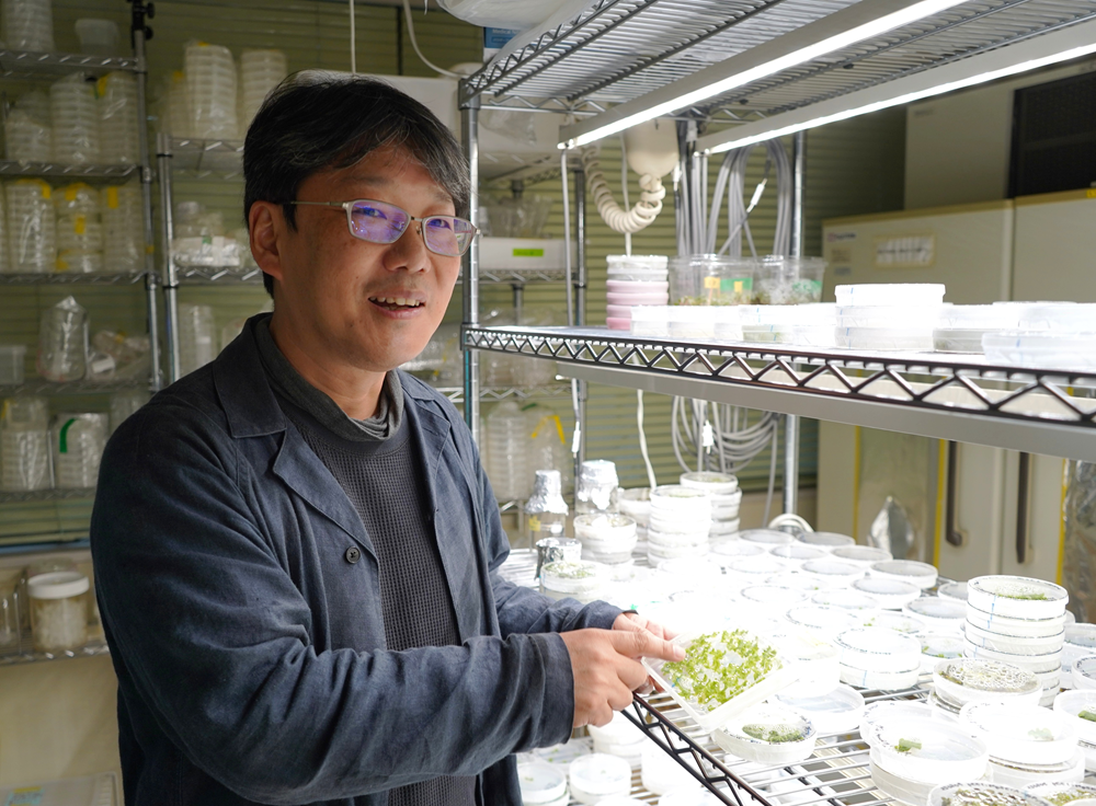 Сотрудник лаборатории в синем халате стоит у стеллажа и держит в курах бокс с растущим растением