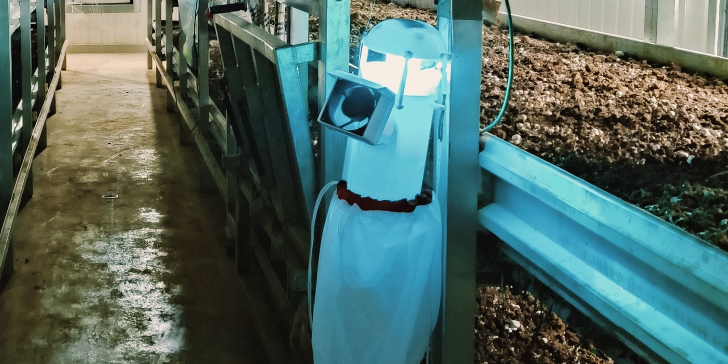 Устройство для борьбы с насекомыми на ферме по выращиванию шампиньонов