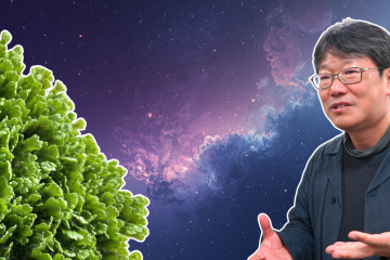 Японский профессор и маршанция изменчивая на фоне звёздного неба