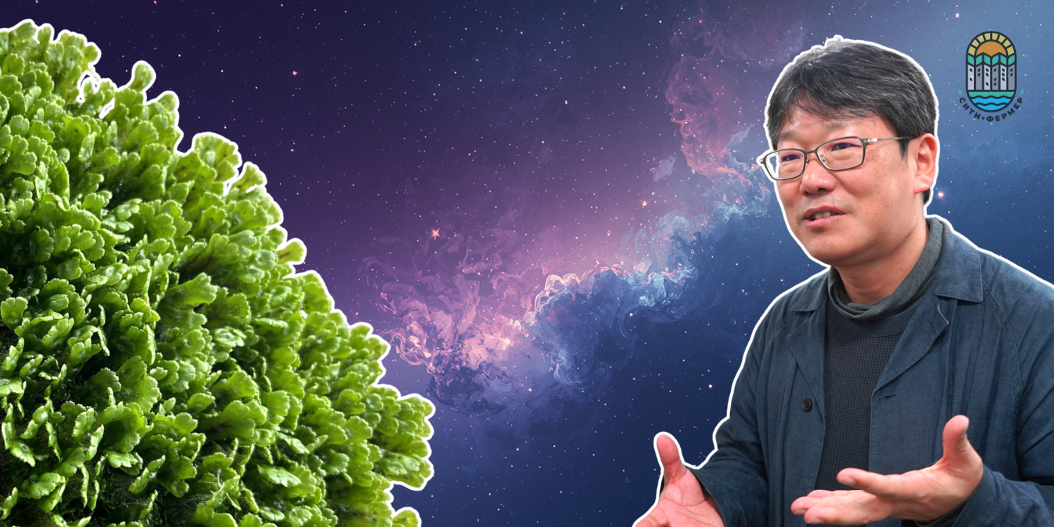 Японский профессор и маршанция изменчивая на фоне звёздного неба