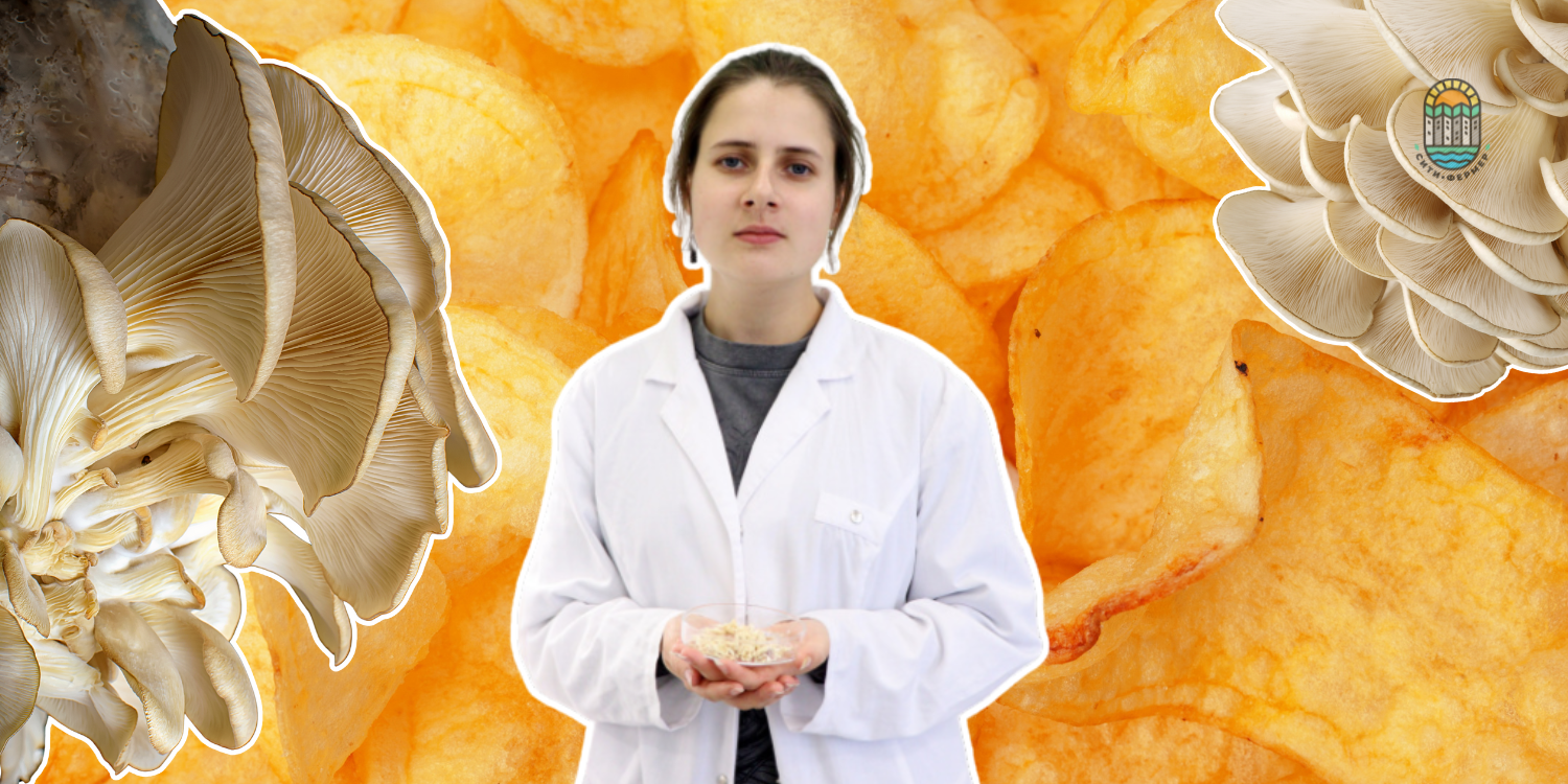 Девушка-учёный в белом халате держит в руках чашку Петри с образцами чипсов из вешенок