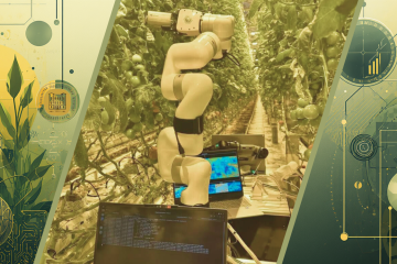 Роботизированная система для обнаружения болезней растений в теплице проверяет помидоры