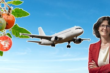 Испорченные помидоры на ветке, небо, самолёт, женщина-учёный
