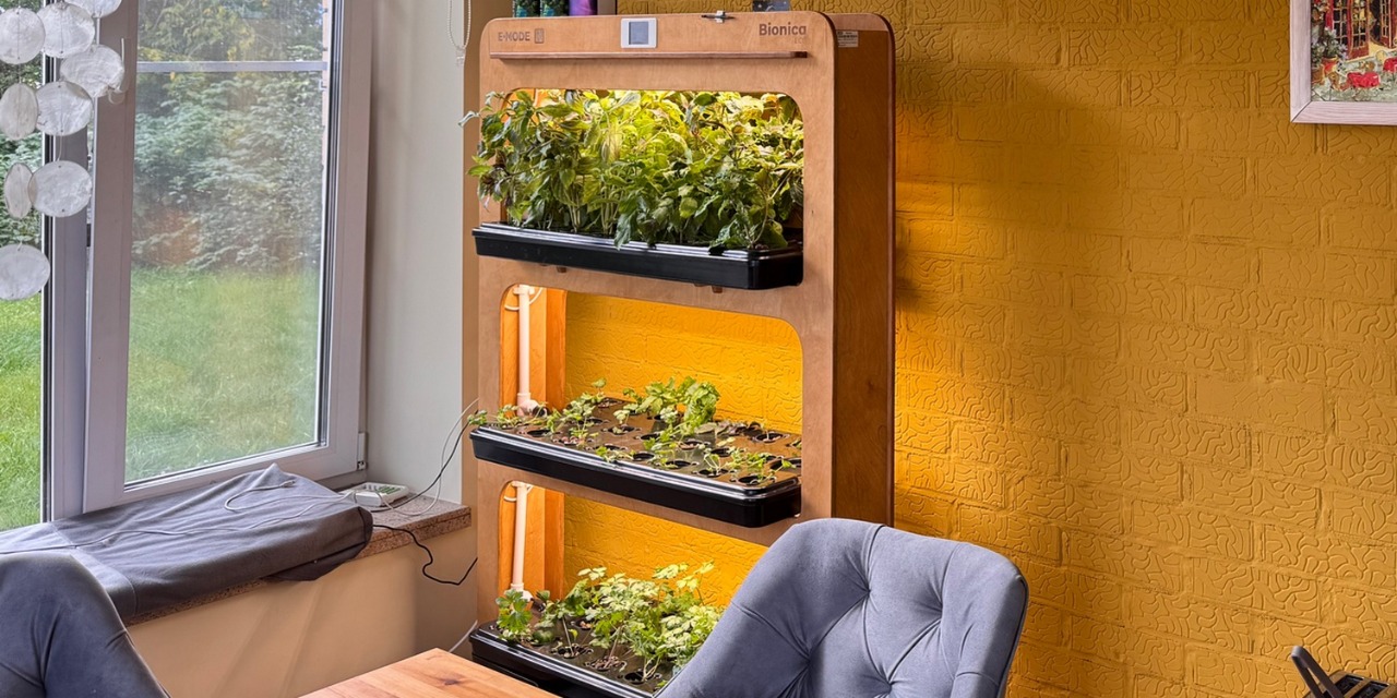 Гидропонная установка в интерьере частного дома