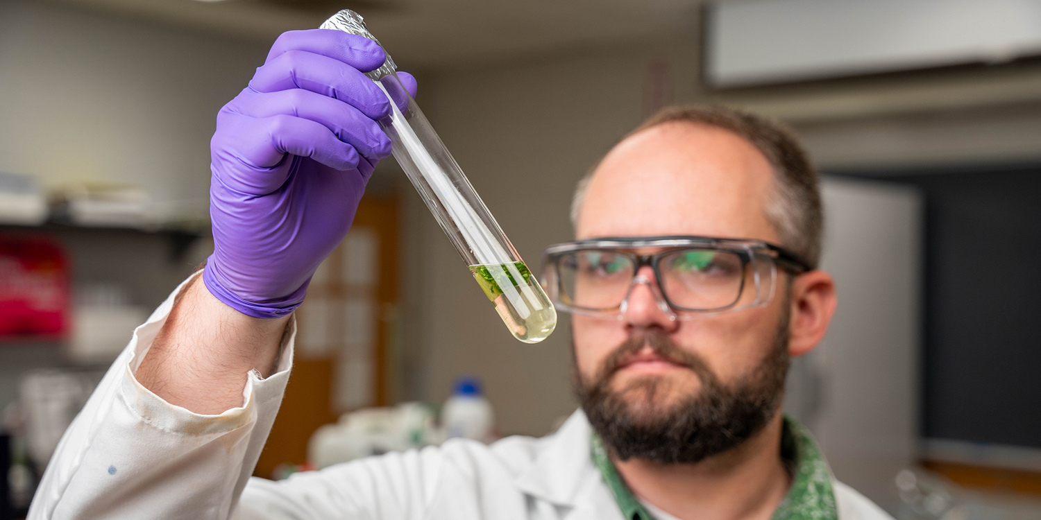 Учёный в белом халате и очках рассматривает пробирку с растением