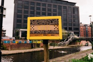 Домик для насекомых в городской среде