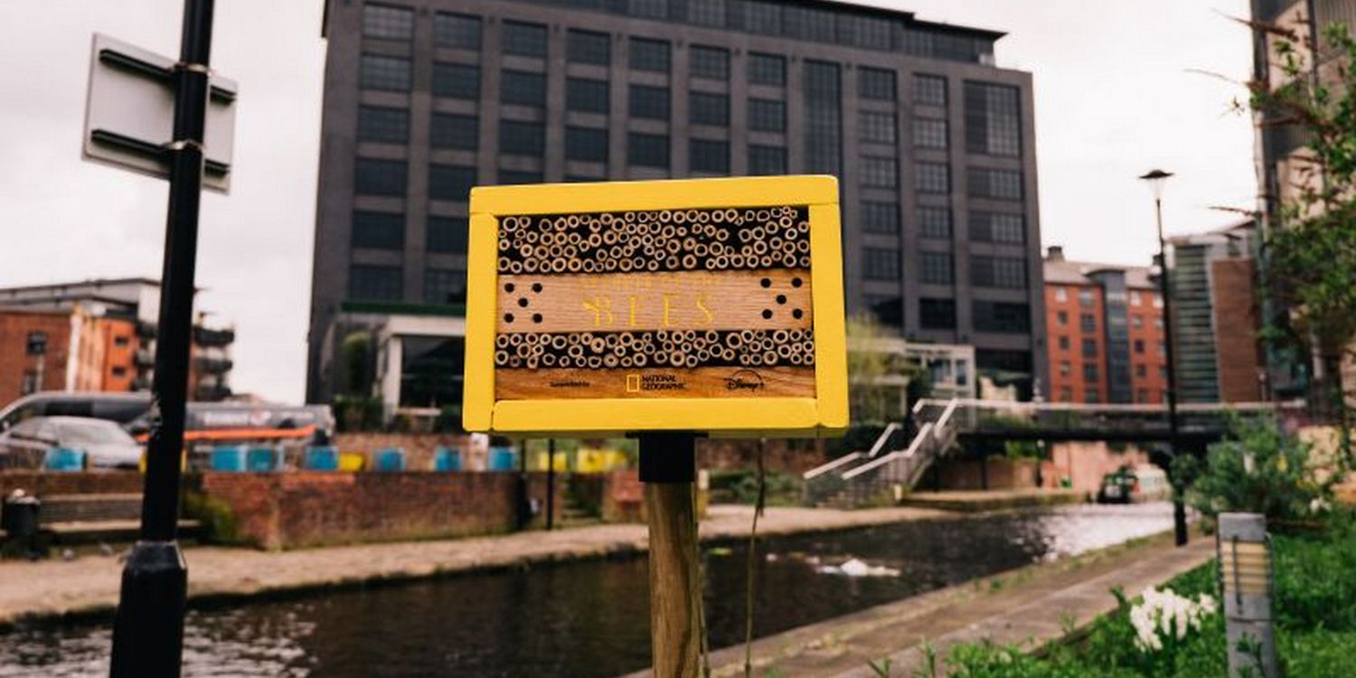 Домик для насекомых в городской среде