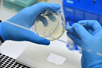 Учёный в синих перчатках держит в руках чашку Петри